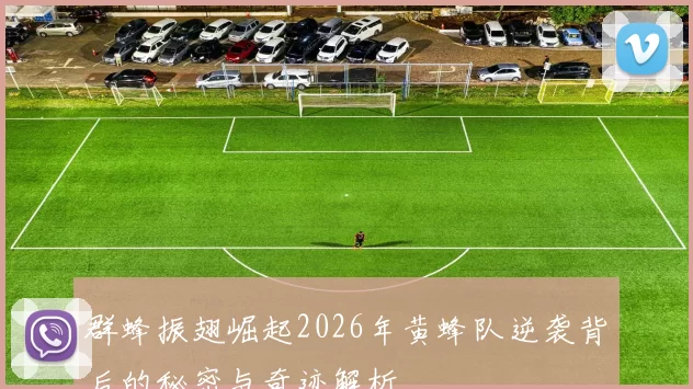 群蜂振翅崛起2026年黄蜂队逆袭背后的秘密与奇迹解析